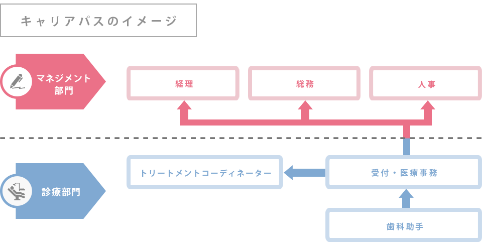キャリアパスイメージ